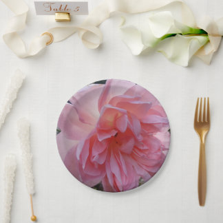 Platos de papel de rosas rosadas para tu fiesta o