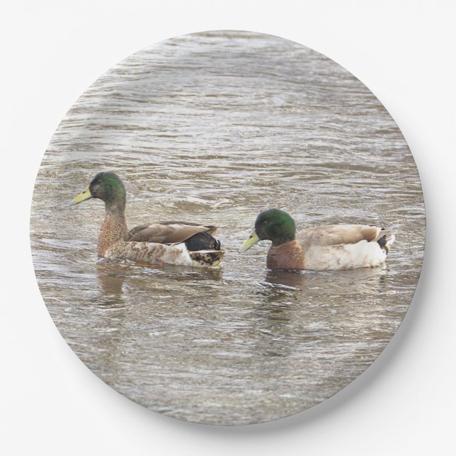 Platos de Papel Foto Patos Reales (Anverso)