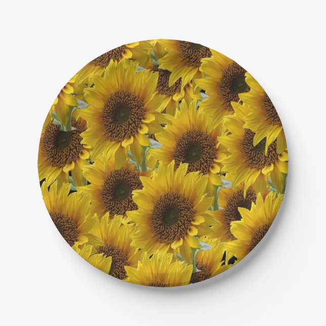 Platos de papel Girasoles (Anverso)