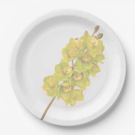 Platos de papel orquídea verde