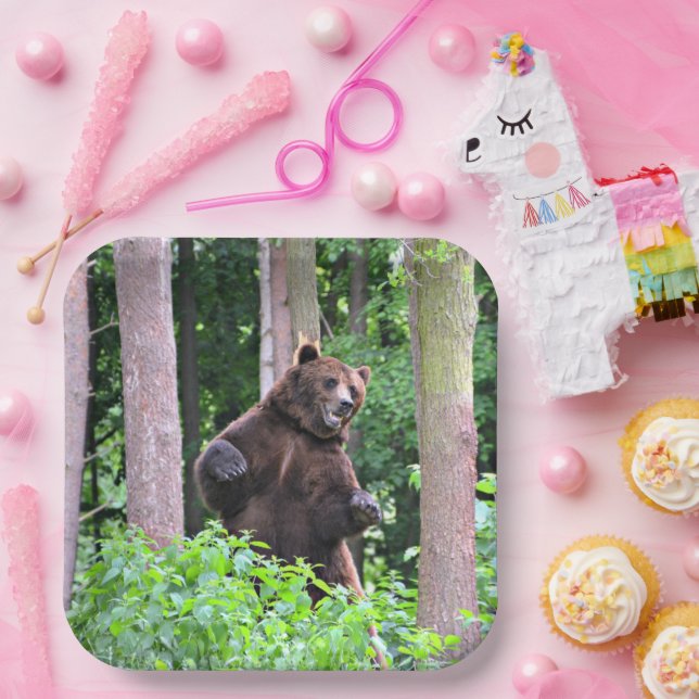 Platos de Papel Oso Pardo Erguido (Fiesta)