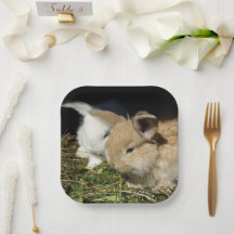 Platos de papel pequeños y esponjosos