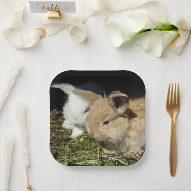 Platos de papel pequeños y esponjosos (Boda)