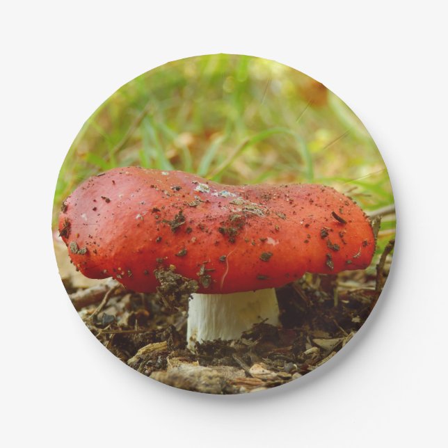 Platos de papel Russula Emetica (Anverso)