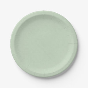 Platos Simples y Llenos para Boda fiesta de cumple