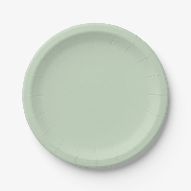 Platos Simples y Llenos para Boda fiesta de cumple (Anverso)