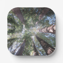 Platos y tazones de papel California Redwoods Mira