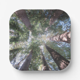 Platos y tazones de papel California Redwoods Mira