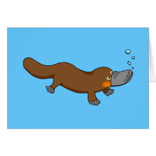 Platypus pato-cargado en cuenta natación linda