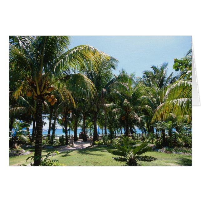 Playa (Anverso (Horizontal))