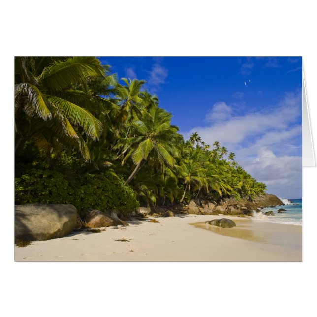 Playa Anse Victorin 3 (Anverso (Horizontal))