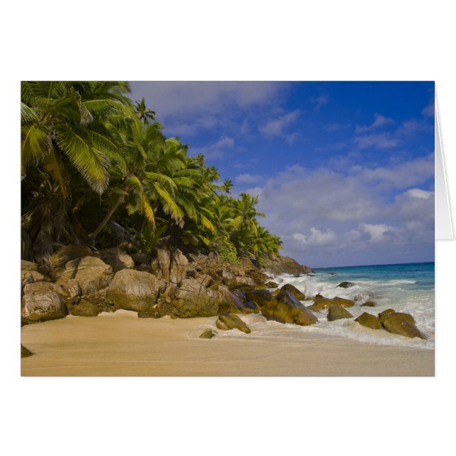 Playa Anse Victorin 4 (Anverso (Horizontal))