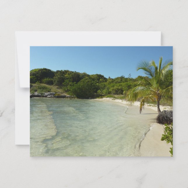 Playa Antigua Hermoso Paisaje Tropical (Anverso)