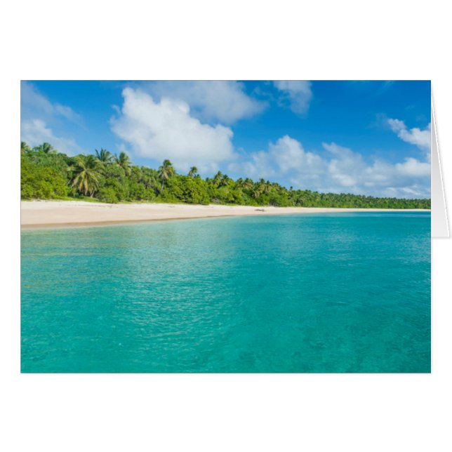 Playa bordeada de palmeras, Tonga (Anverso (Horizontal))