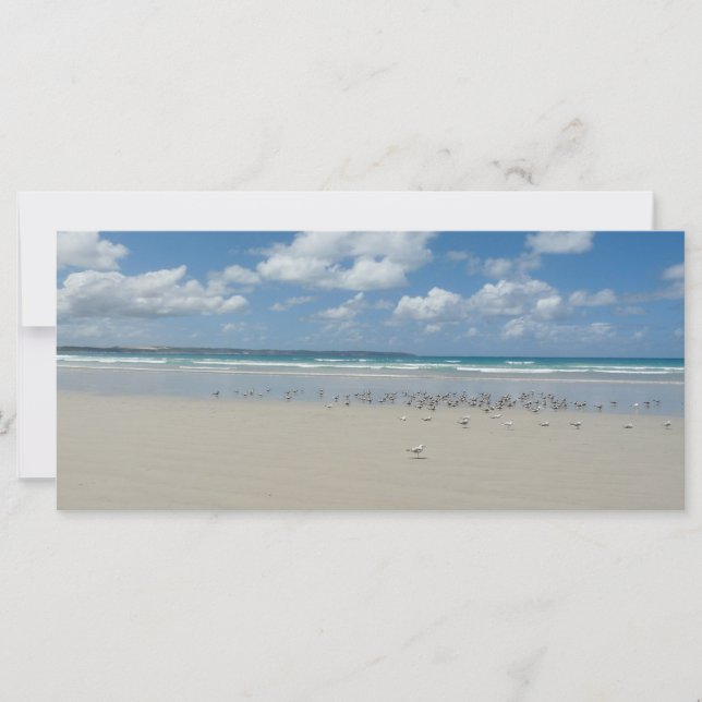 Playa con gaviotas (Anverso)