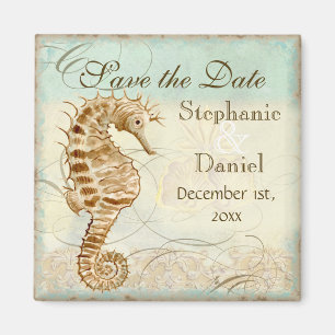 Playa costera del caballo de mar - ahorre el imán