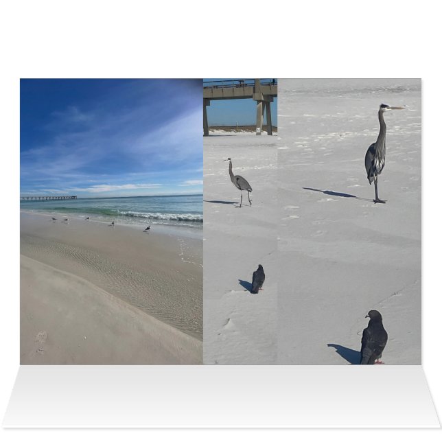 Playa de amor (Adentro Horizontal (Parte superior))