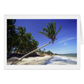 Playa de arena blanca con palmeras, Mui Ne (Vietna