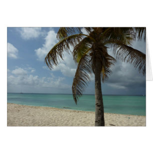 Playa de Aruba I Bella Escena Natural