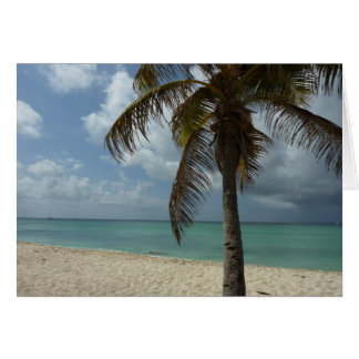 Playa de Aruba I Bella Escena Natural