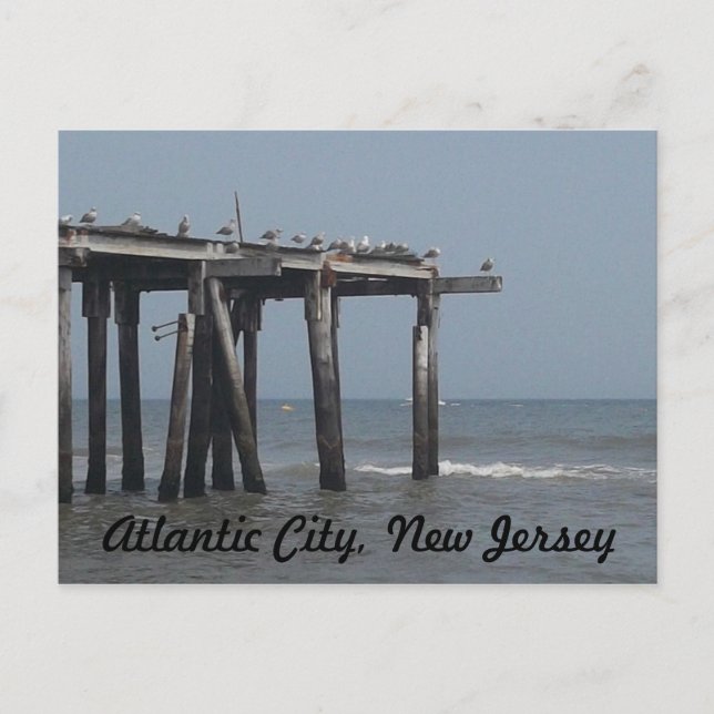 Playa de Atlantic City con tarjeta de aves (Anverso)