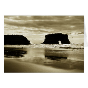 Playa de estado natural de los puentes