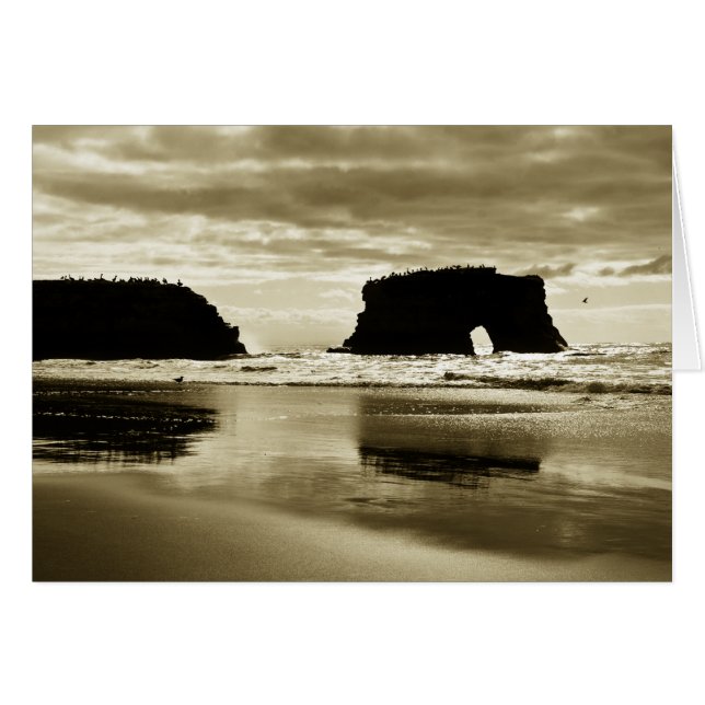 Playa de estado natural de los puentes (Anverso (Horizontal))