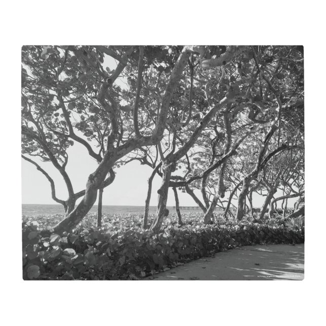 Playa de Júpiter de Arte (Anverso)