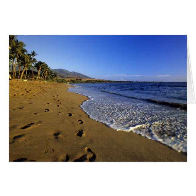 Playa de Kaanapali, Maui, Hawaii, Estados Unidos (Anverso (Horizontal))