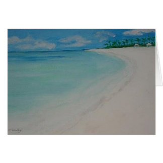 Playa de la bahía del bajío