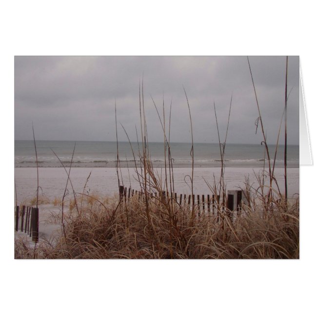 Playa de nieve (Anverso (Horizontal))