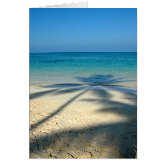 Playa de Palm, Lanikai (Frente)