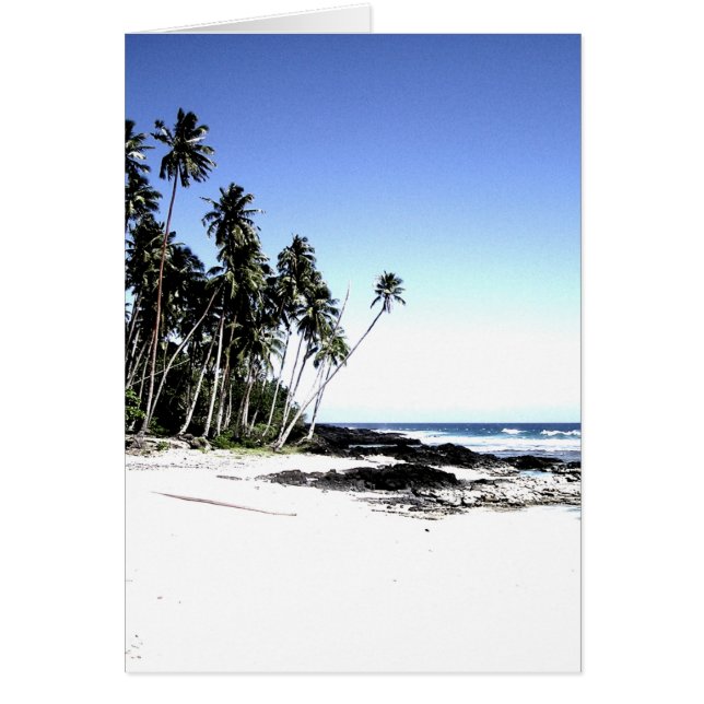 Playa de palmeras y paraísos exóticos (Frente)