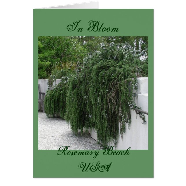 Playa de Rosemary, Rosemary (Frente)