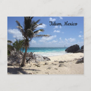 Playa de Tulum, México - vacaciones - sol - postal