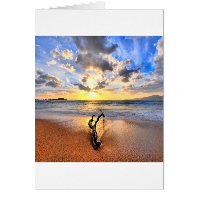 Playa del Driftwood de la salida del sol (Frente)