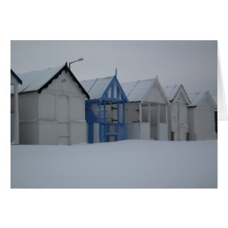 Playa del invierno