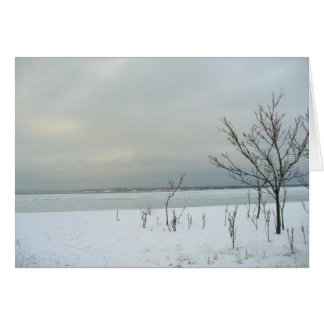playa del invierno