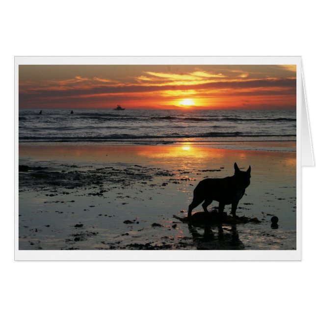 Playa del perro (Anverso (Horizontal))