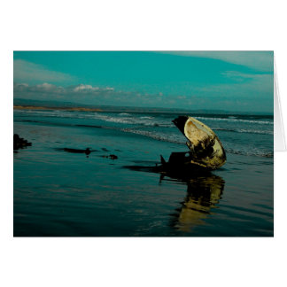 Playa El Pabellón, Baja México