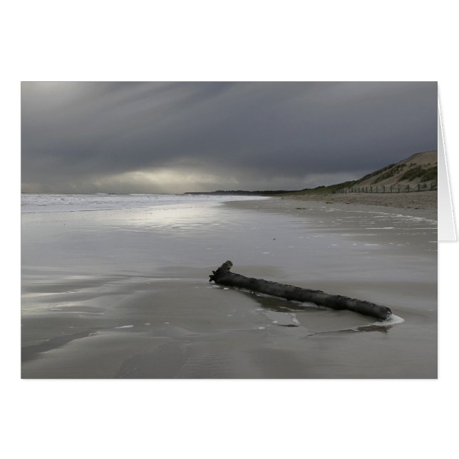 Playa en invierno (Anverso (Horizontal))