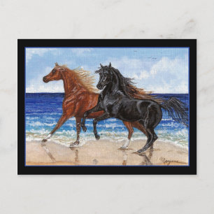 Playa Gallop Postal de caballos árabes
