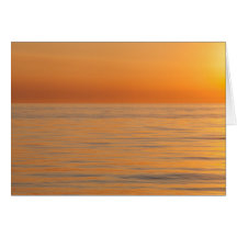 Playa ideal anaranjada