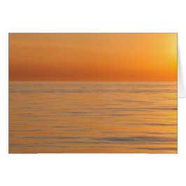 Playa ideal anaranjada