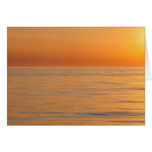 Playa ideal anaranjada