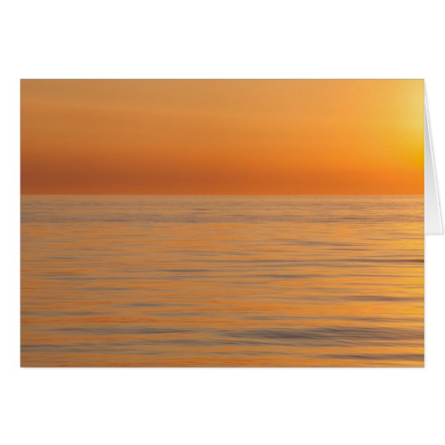 Playa ideal anaranjada (Anverso (Horizontal))