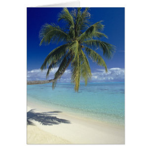 Playa Matira en la isla de Bora Bora, Sociedad