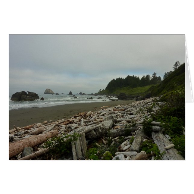 Playa oculta I en el Parque Nacional Redwood (Anverso (Horizontal))