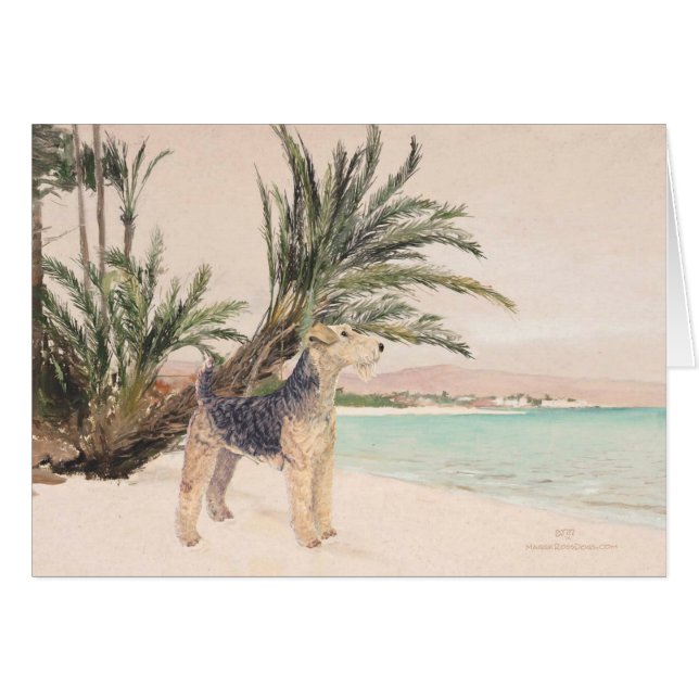 Playa Palmy (Anverso (Horizontal))