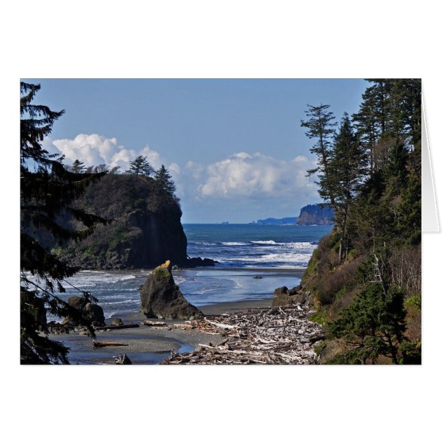 Playa Ruby en la Península Olímpica, Washington St (Anverso (Horizontal))